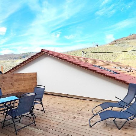 Apartament Vue Splendide Au Coeur Des Vignes Bergheim Zewnętrze zdjęcie