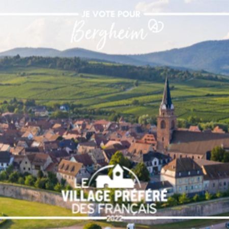 Apartament Vue Splendide Au Coeur Des Vignes Bergheim Zewnętrze zdjęcie