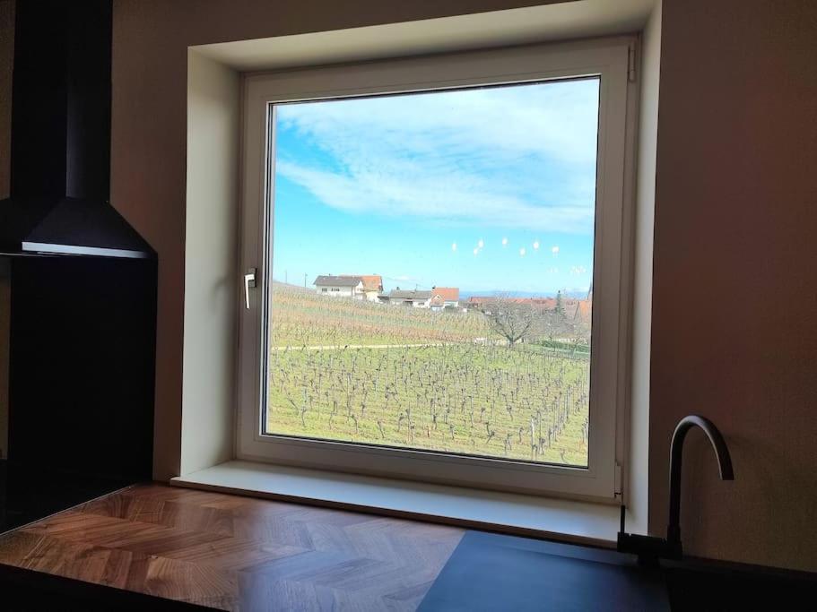 Apartament Vue Splendide Au Coeur Des Vignes Bergheim Zewnętrze zdjęcie