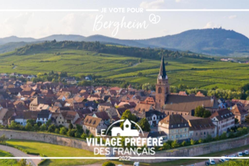 Apartament Vue Splendide Au Coeur Des Vignes Bergheim Zewnętrze zdjęcie
