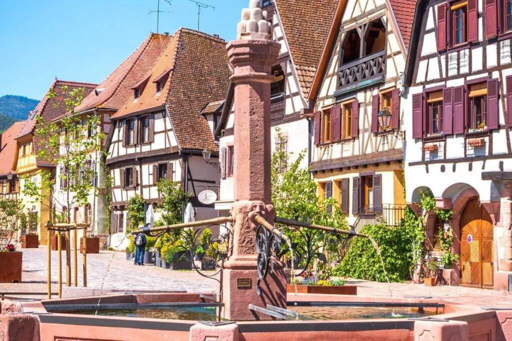 Apartament Vue Splendide Au Coeur Des Vignes Bergheim Zewnętrze zdjęcie