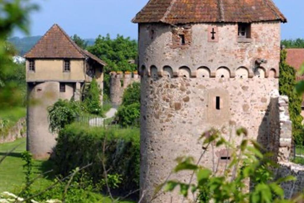 Apartament Vue Splendide Au Coeur Des Vignes Bergheim Zewnętrze zdjęcie
